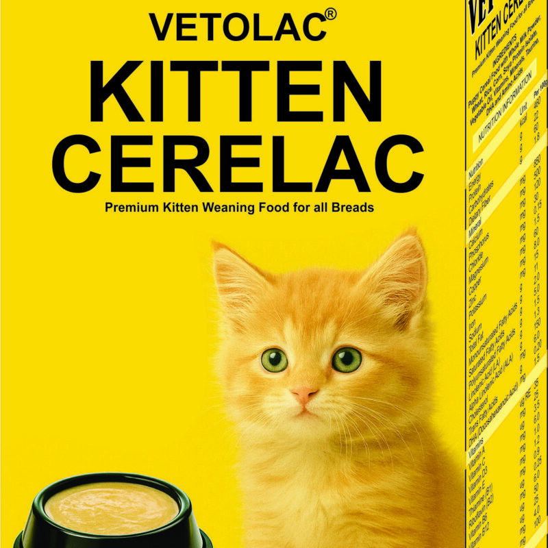 kitten cerelac