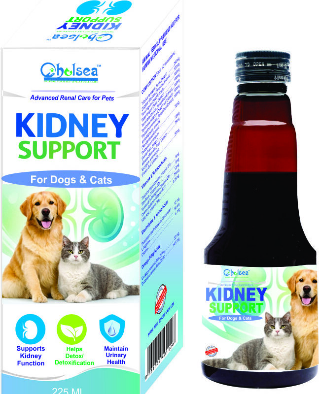 Kidney Support